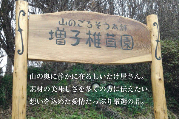 bn_company_01